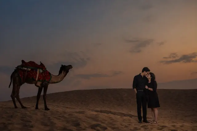 Camel at dusk: a couple photographed at Sam sand dunes, Jaisalmer